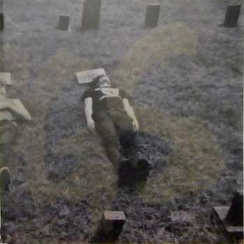 LP/CD The Whigs: In The Dark