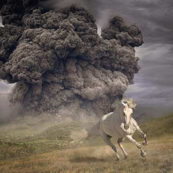 Album The White Buffalo: Year of the Dark Horse