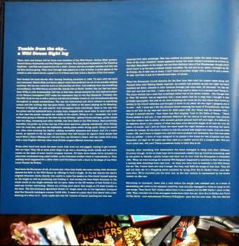 2LP The Wild Swans: Incandescent LTD