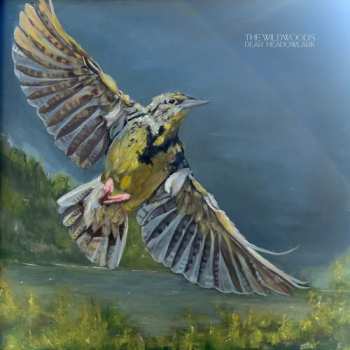 CD The Wildwoods: Dear Meadowlark
