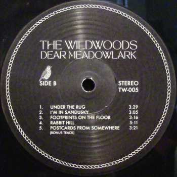 LP The Wildwoods: Dear Meadowlark