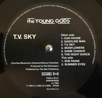 2LP The Young Gods: T.V. Sky 382367