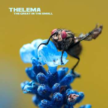 Album Thelema: The Great In The Small