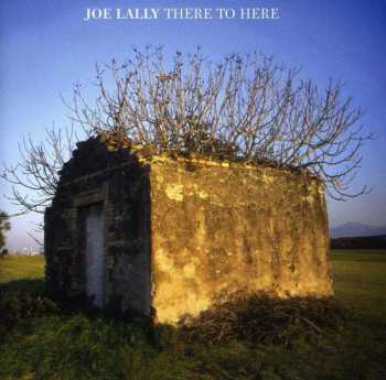 Joe Lally: There To Here