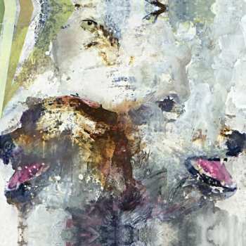 CD These Arms Are Snakes: Tail Swallower And Dove