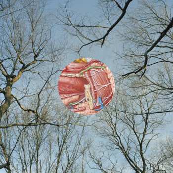 Album They Might Be Giants: Glean