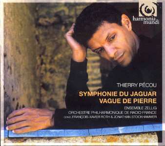 Thierry Pécou: Symphonie Du Jaguar - Vague De Pierre
