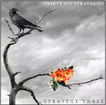 Strategy Three