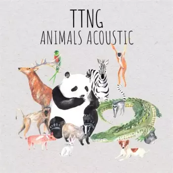 This Town Needs Guns: Animals Acoustic