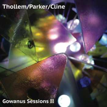 Album Thollem McDonas: Gowanus Sessions II