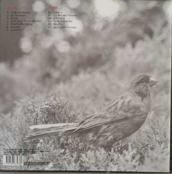 LP Thomas Fersen: Le Bal Des Oiseaux 70598