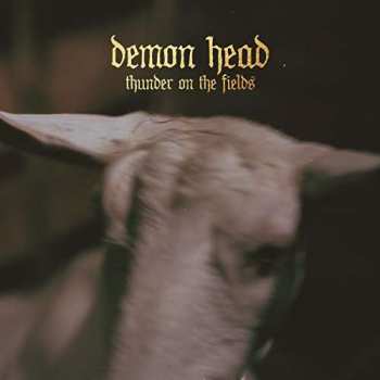LP Demon Head: Thunder On The Fields 471575