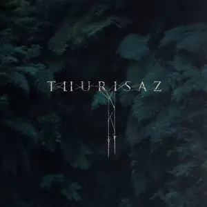 Thurisaz: Re-Incentive