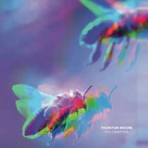 Album Thurston Moore: Pollination