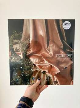 LP Tigers Jaw: I Won't Care How You Remember Me 540502