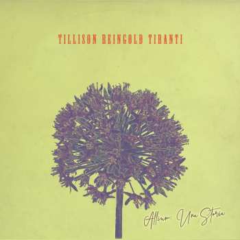 Album Tillison Reingold Tiranti: Allium: Una Storia