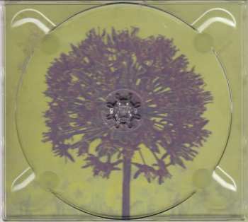 CD Tillison Reingold Tiranti: Allium: Una Storia 103505