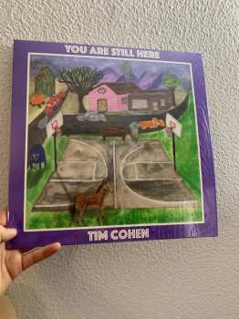 LP Tim Cohen: You Are Still Here 471835
