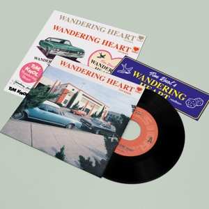 Album Tim Knol: Wandering Heart 