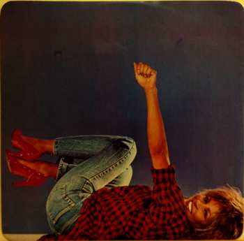 LP Tina Turner: Private Dancer 41777