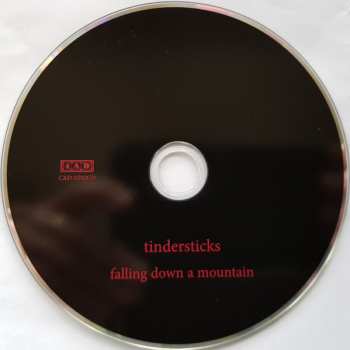 CD Tindersticks: Falling Down A Mountain 322010