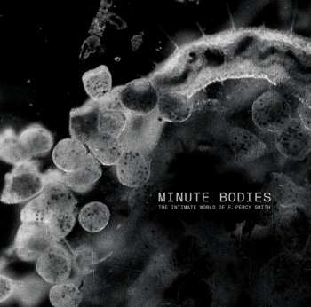 LP/DVD Tindersticks: Minute Bodies - The Intimate World Of F. Percy Smith LTD 363822