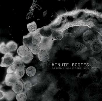 Album Tindersticks: Minute Bodies - The Intimate World Of F. Percy Smith