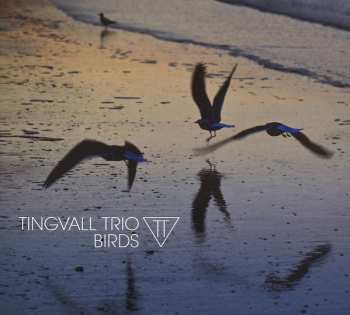 Album Tingvall Trio: Birds