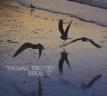 Tingvall Trio: Birds