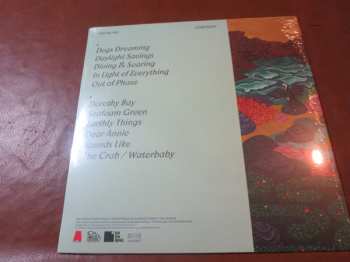 LP Tiny Ruins: Ceremony