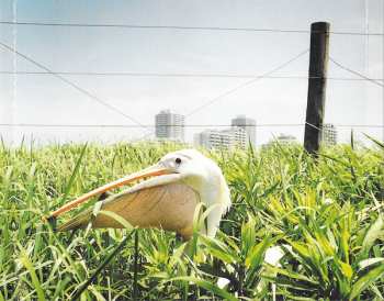 CD To Be Continued: Core Pop