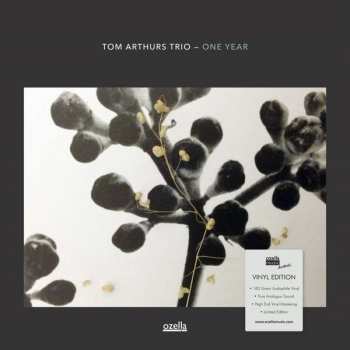 Album Tom Arthurs Trio: One Year