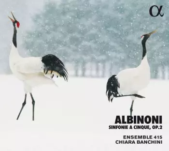 Tomaso Albinoni: Sinfonie A Cinque Op. 2