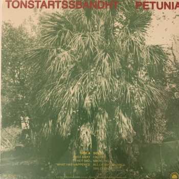 LP Tonstartssbandht: Petunia 127782