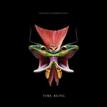 Album Tony Buck: Time Being
