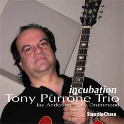 Album Tony Purrone Trio: Incubation