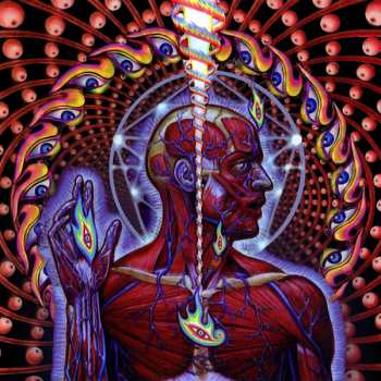 CD Tool: Lateralus 19842