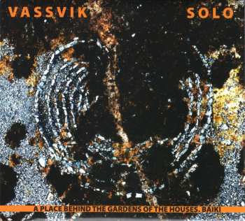 Torgeir Vassvik: Vassvik Solo • A Place Behind The Gardens Of The Houses. Báiki