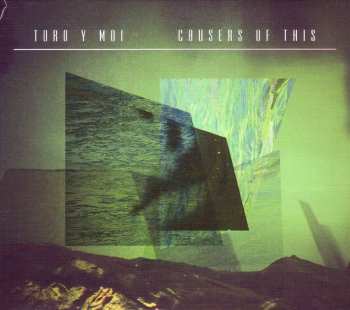 CD Toro Y Moi: Causers Of This 421126