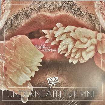 Album Toro Y Moi: Underneath The Pine