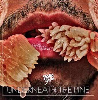 LP Toro Y Moi: Underneath The Pine 348397