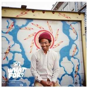 Toro Y Moi: What For?