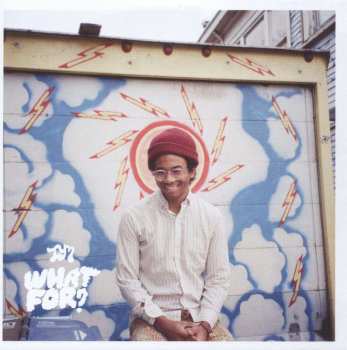 CD Toro Y Moi: What For? 433644