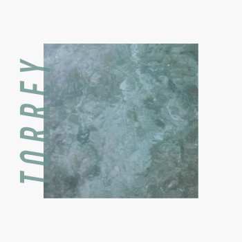 Album Torrey: Torrey
