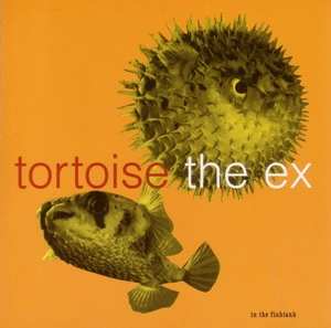 Tortoise: In The Fishtank