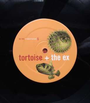 LP Tortoise: In The Fishtank 74054