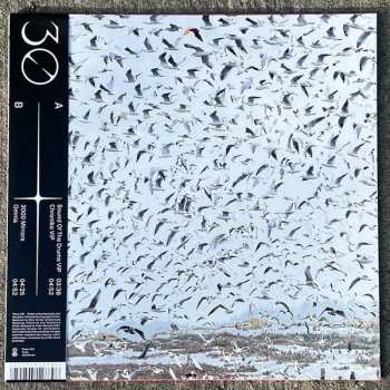 LP Torus: 333 Mirrors