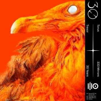 Album Torus: 333 Mirrors