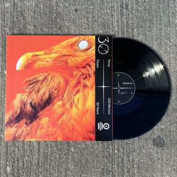 LP Torus: 333 Mirrors