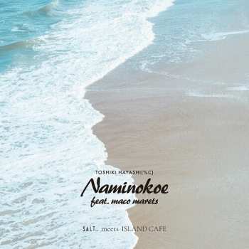 Album Toshiki Hayashi: Naminokoe Feat. Maco Marets